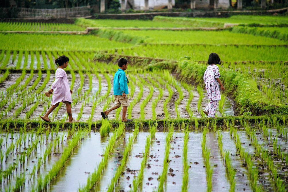anak-anak jalan kaki dan menikmati alam