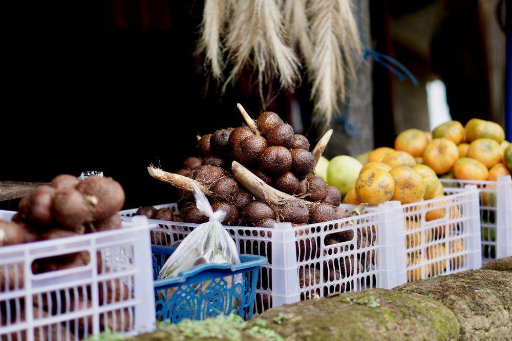 Cara Menyimpan Buah Salak agar Tidak Cepat Busuk