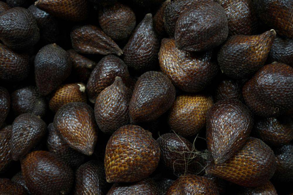 Cara Menyimpan Buah Salak agar Tidak Cepat Busuk