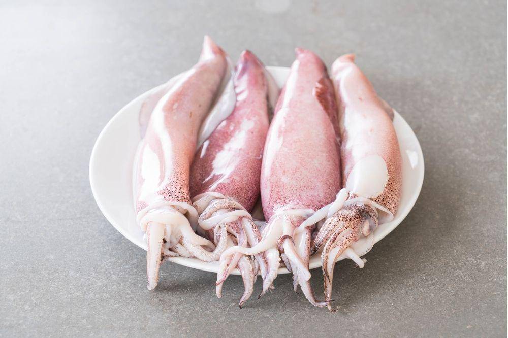 5 Cara Menyimpan Cumi di Kulkas