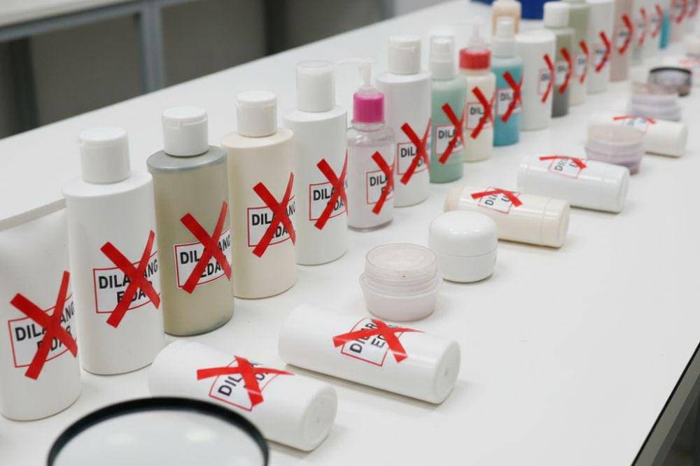 new land - 2025-11-07T141818.204.jpg