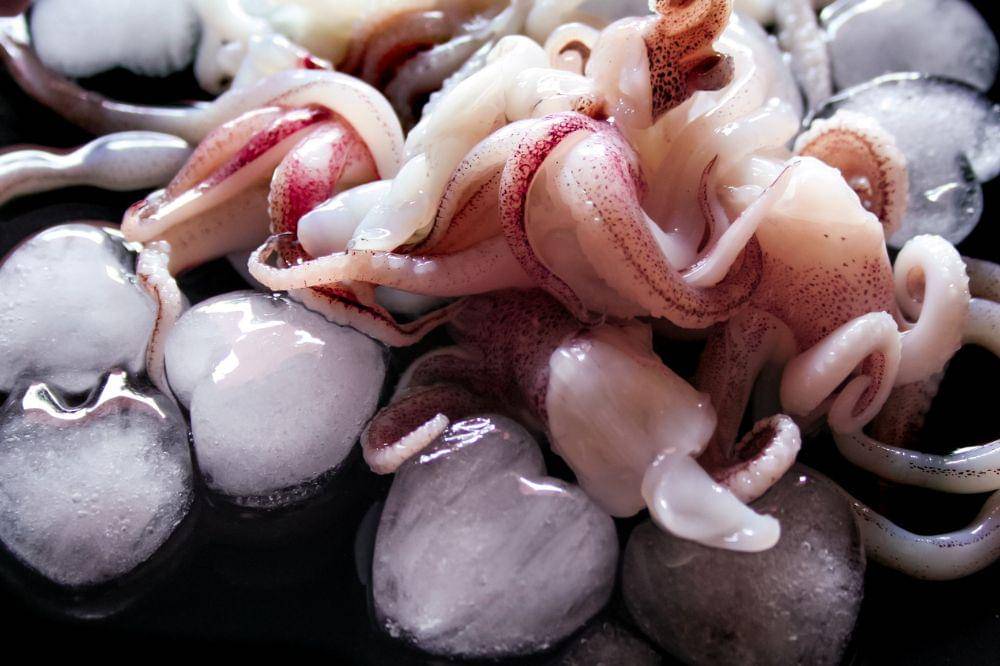 5 Cara Menyimpan Cumi di Kulkas