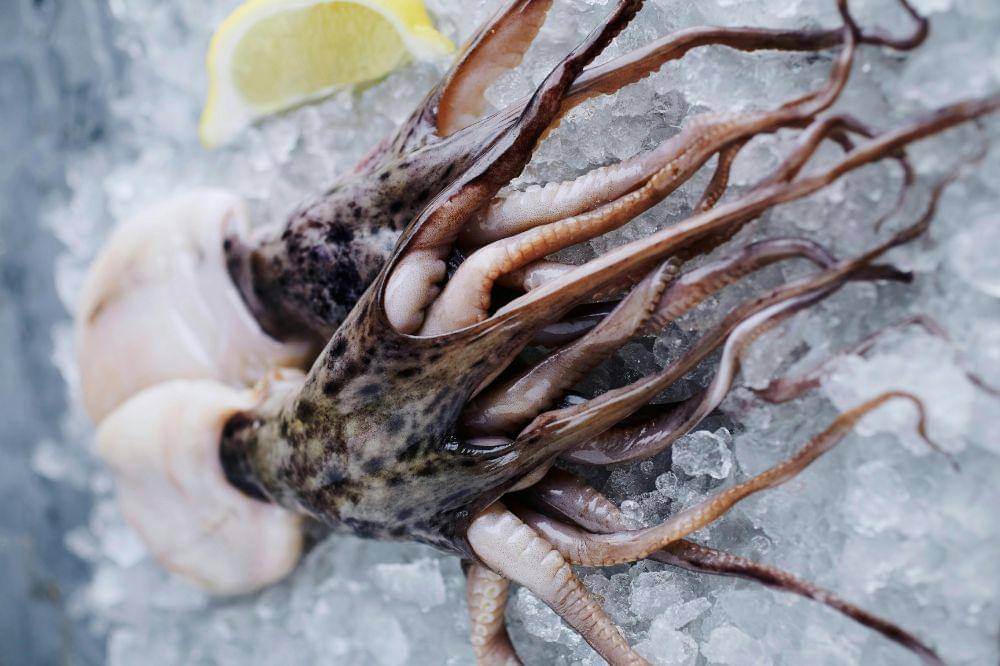 5 Cara Menyimpan Cumi di Kulkas