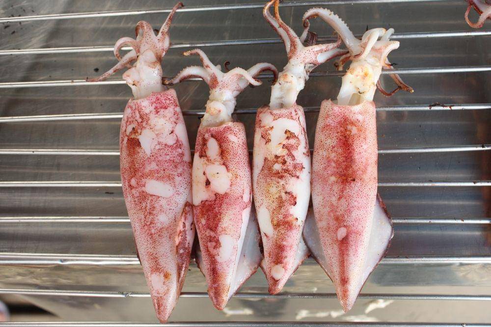 5 Cara Menyimpan Cumi di Kulkas