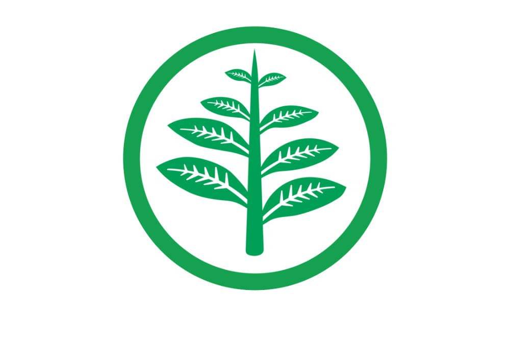 7 Golongan Obat dan Kegunaannya, Hati-Hati Salah Konsumsi!