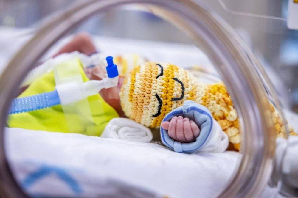 Gulfshorebusiness.com