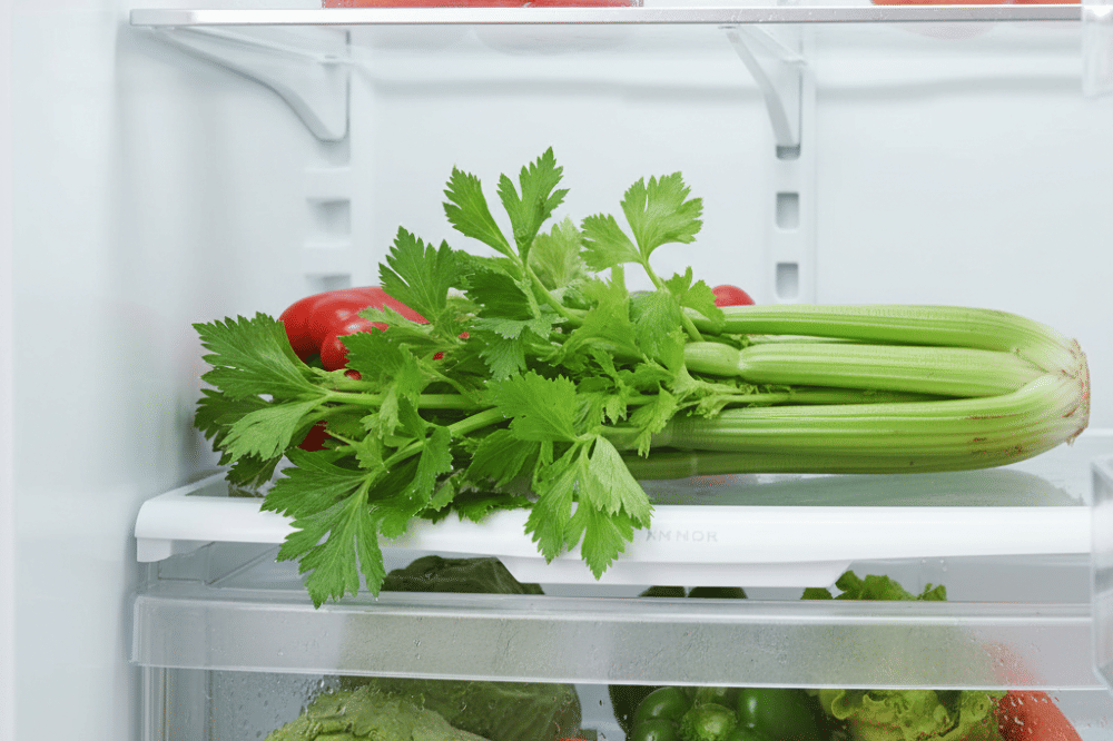 Cara Menyimpan Daun Seledri agar Tetap Segar