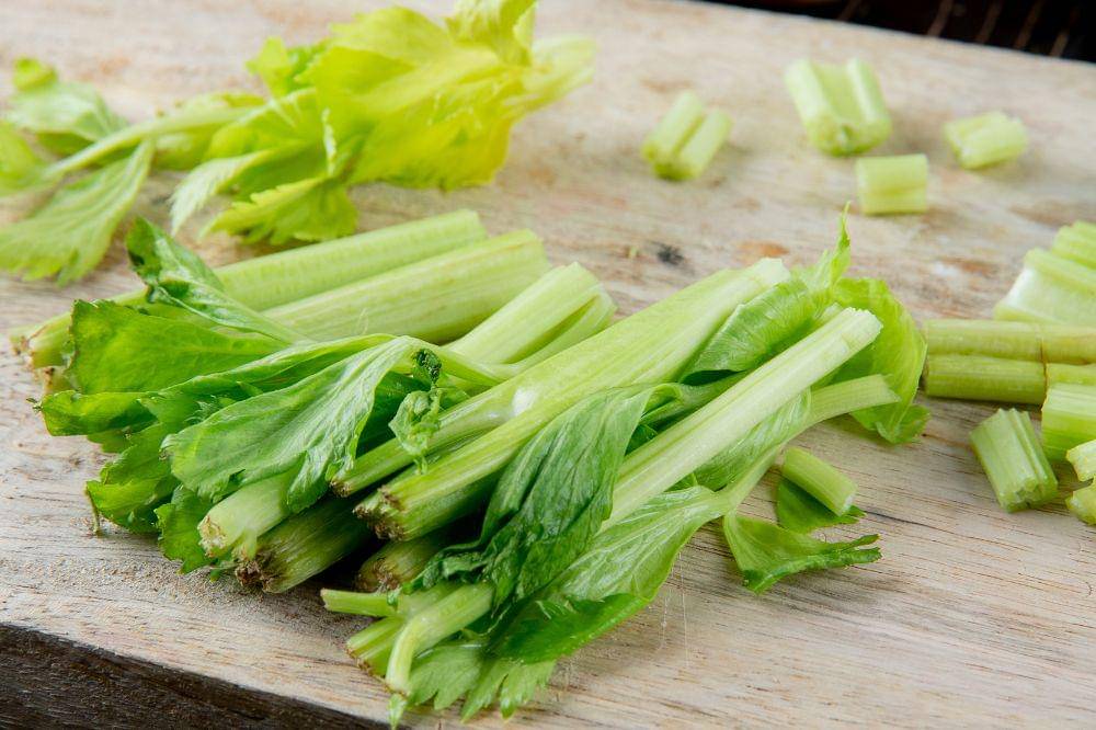 6 Kandungan Daun Seledri untuk Kesehatan Ibu Hamil