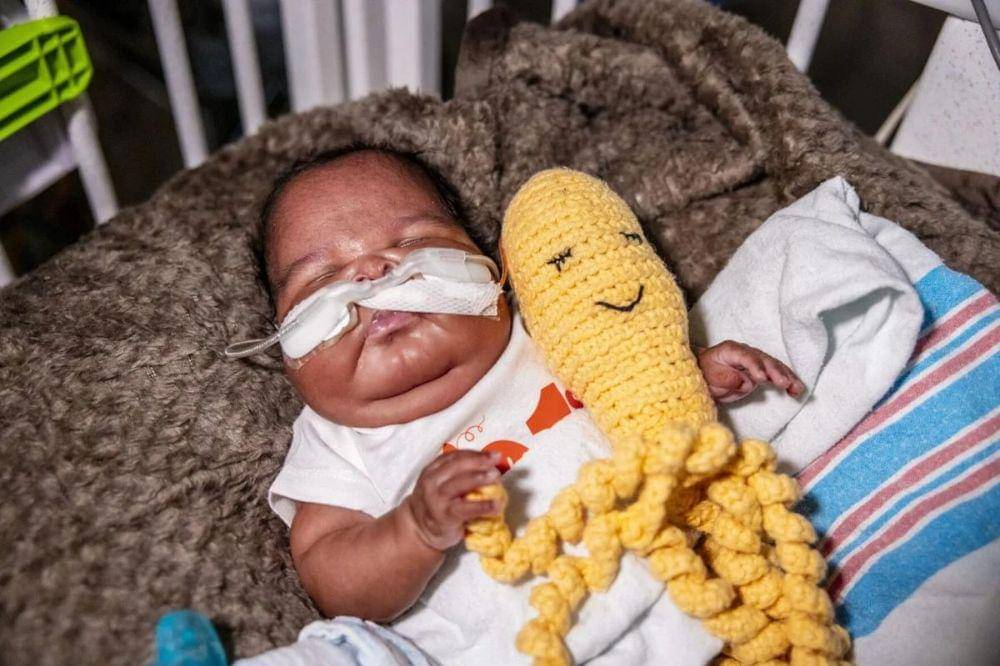 Gulfshorebusiness.com