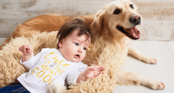 Freepik/freepic.diller