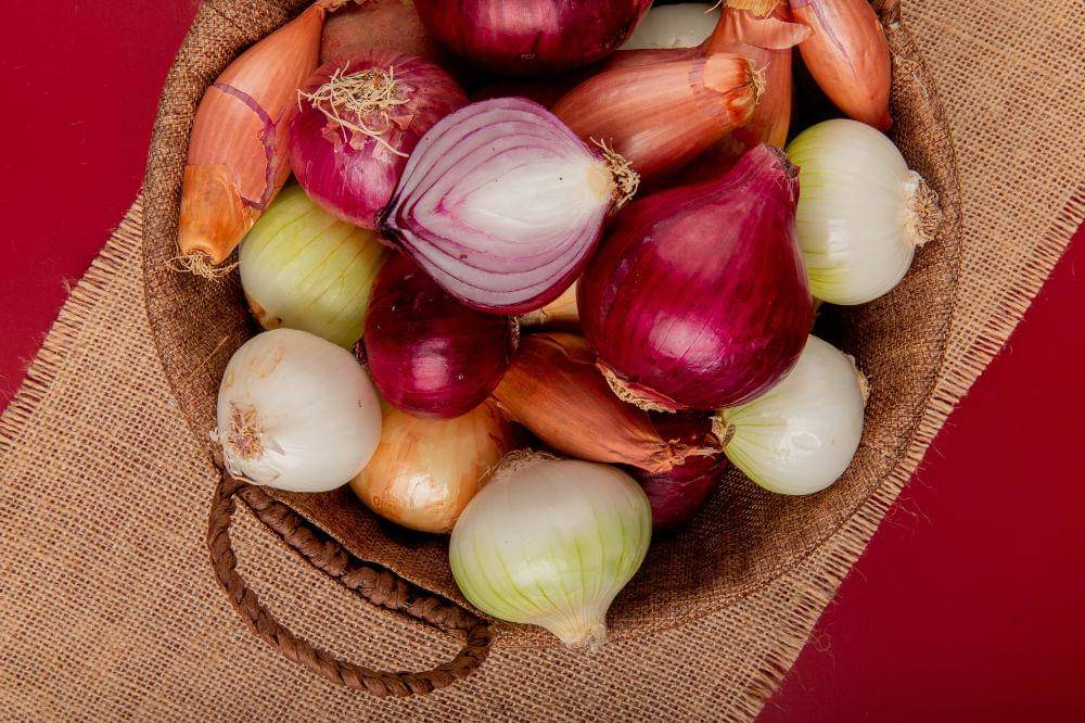 Makanan yang Sering Disimpan di Kulkas padahal Tidak Boleh