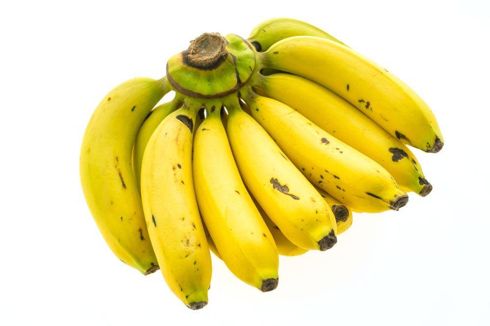 Freepik/lifeforstock