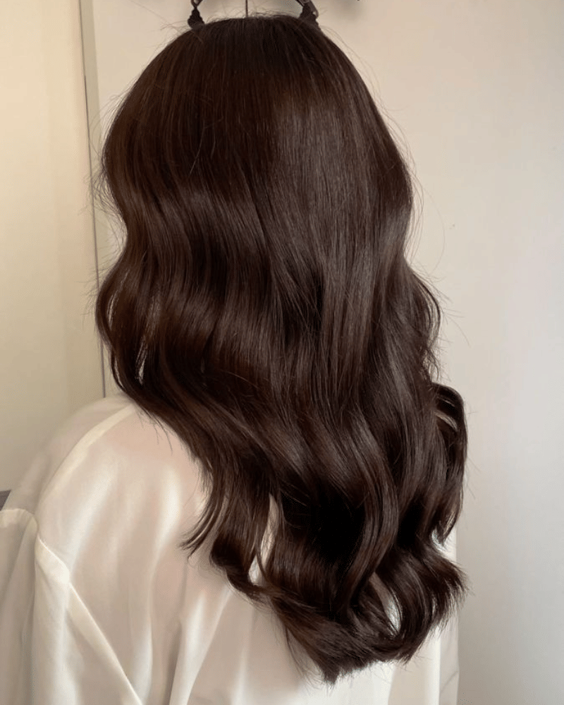 hair chocolate brown