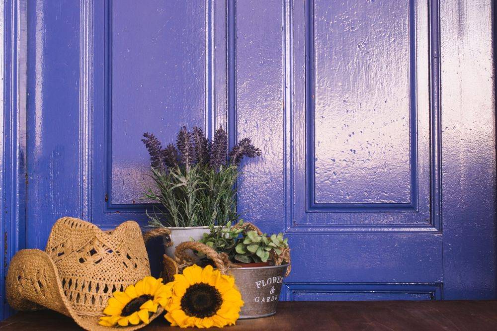 Warna Cat untuk Menciptakan Ketenangan