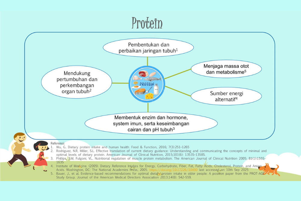 Protein dan manfaatnya