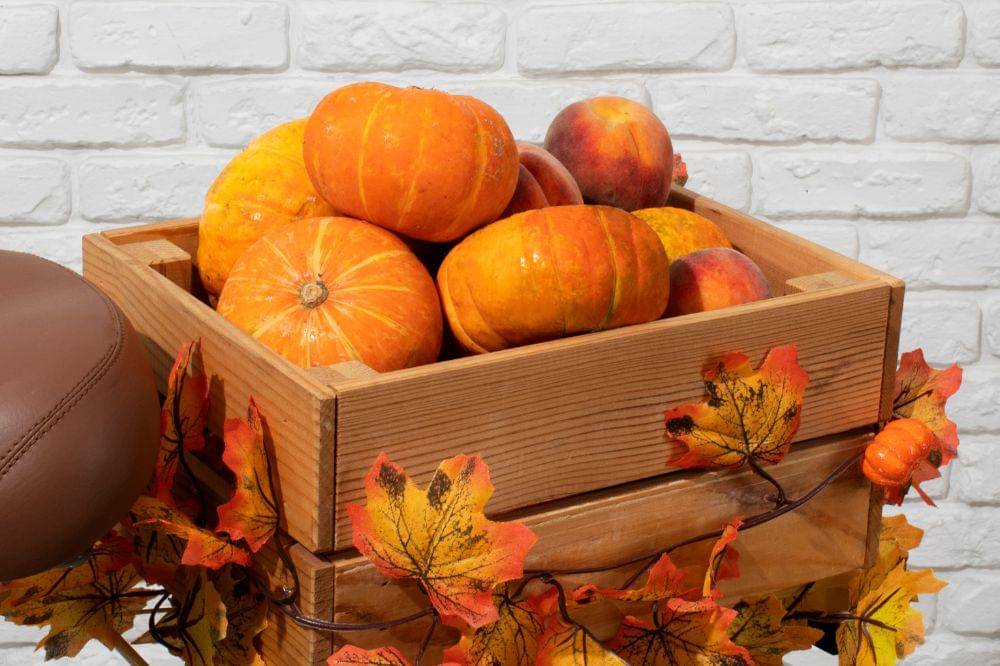 6 Cara Menyimpan Waluh