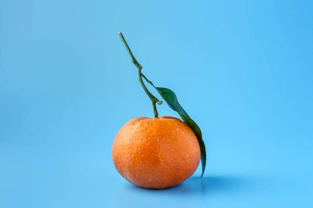 6 Cara Memilih Jeruk yang Manis, Dijamin Tidak Kecewa!  (5).jpg