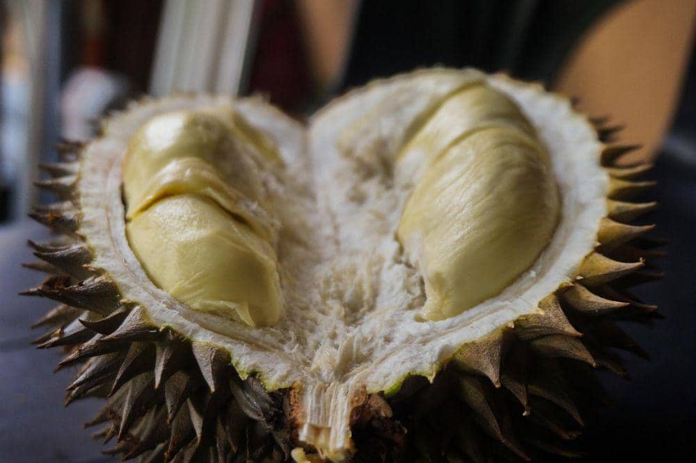 6 Cara Memilih Durian agar Setiap Gigitan Penuh Kenikmatan (3).jpg
