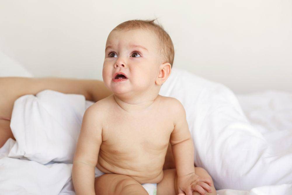 Freepik/cookie_studio