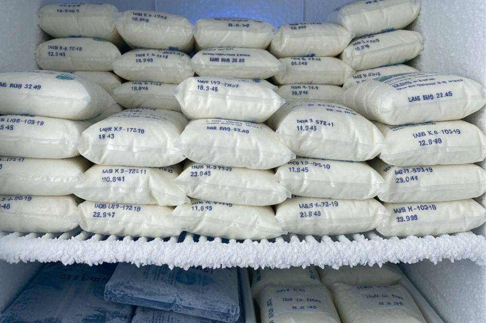 Berapa Lama ASI Beku Bisa Bertahan Ini Penjelasannya!.jpg