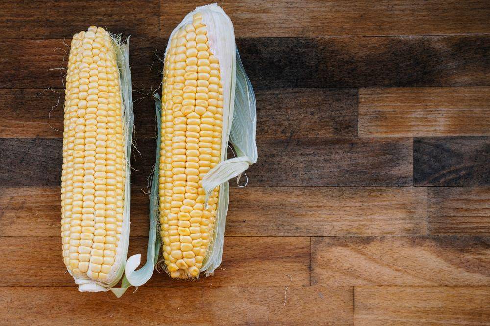 Cara Menyimpan Jagung