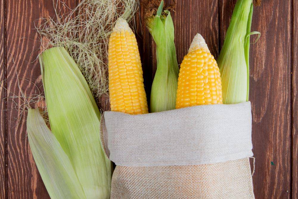 Cara Menyimpan Jagung