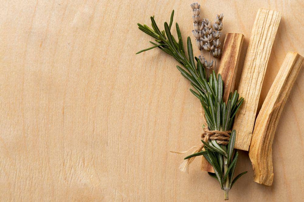 Pilihan Aromaterapi untuk Ruang Tamu