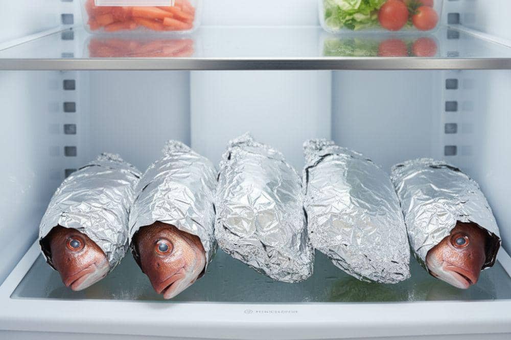 Cara Menyimpan Ikan di Kulkas