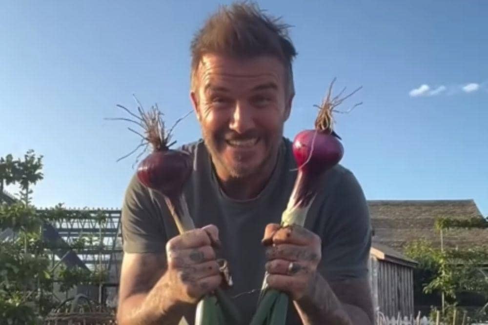 Pensiun dari Dunia Bola, David Beckham Menikmati Hidup dengan Berkebun