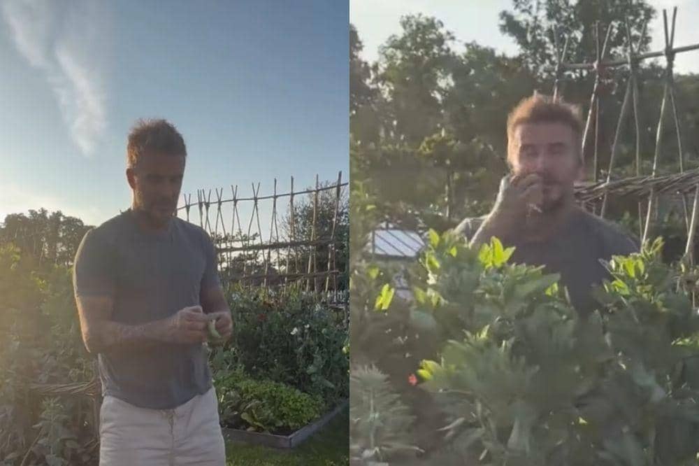 Pensiun dari Dunia Bola, David Beckham Menikmati Hidup dengan Berkebun