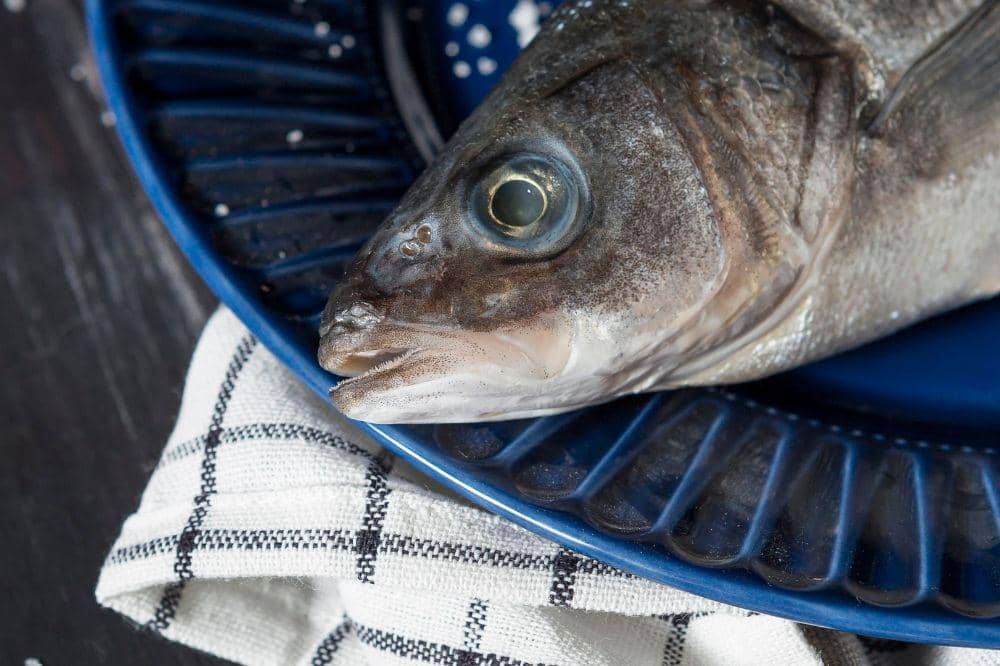 Cara Menyimpan Ikan di Kulkas