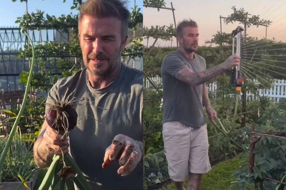 Pensiun dari Dunia Bola, David Beckham Menikmati Hidup dengan Berkebun