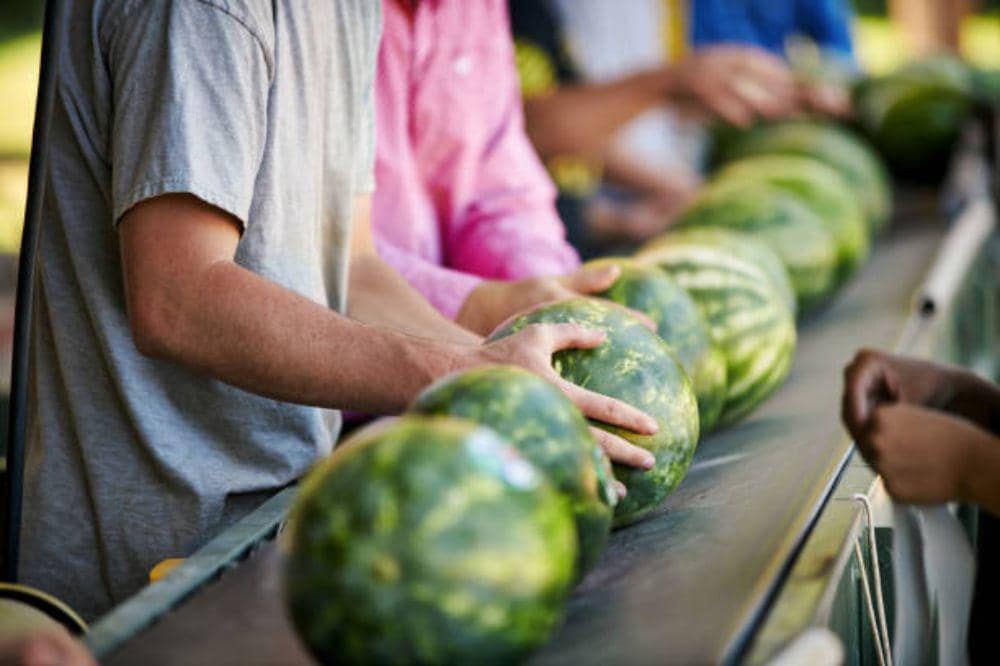 6 Cara Memilih Semangka yang Manis dan Matang Sempurna