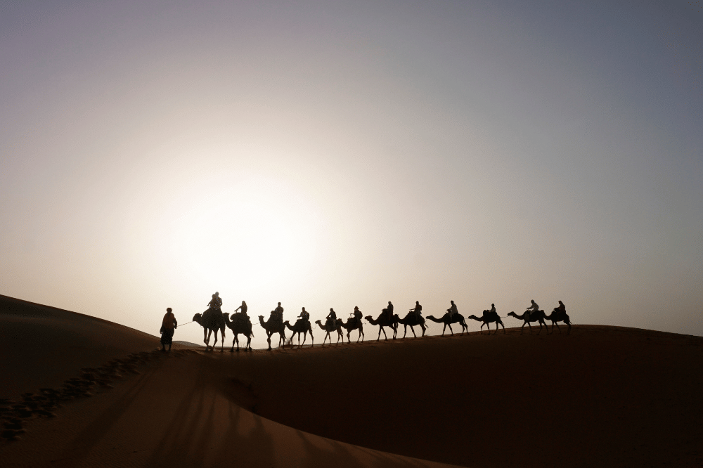 Banya orang yang menaiki unta melewati gurun pasir