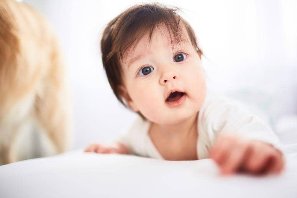 Freepik/freepic.diller