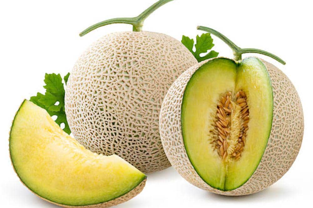 6 Cara Memilih Buah Melon yang Manis, Matang, dan Segar untuk Keluarga 