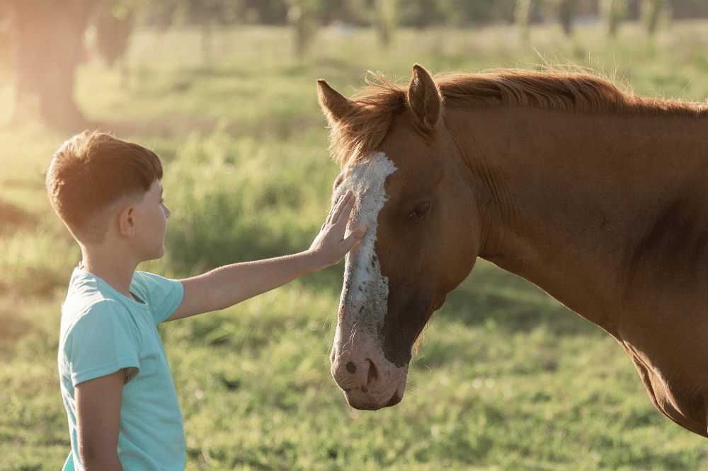 anak dengan peliharaan kuda