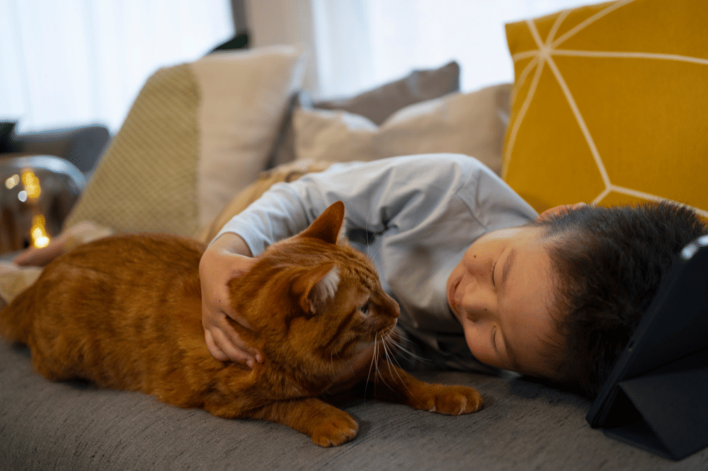 anak dengan peliharaan kucingnya