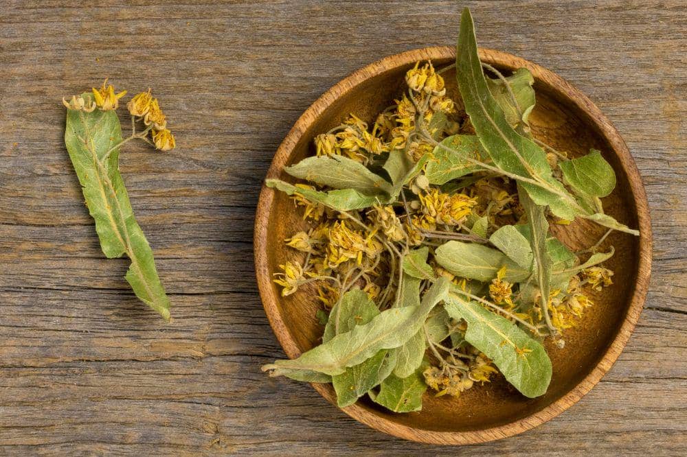 10 Obat Biduran Alami yang Mudah Didapat di Rumah (5).jpg