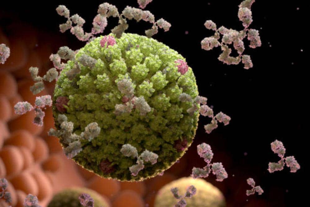 8 Penyebab Herpes Kulit di Punggung yang Perlu di Waspadai