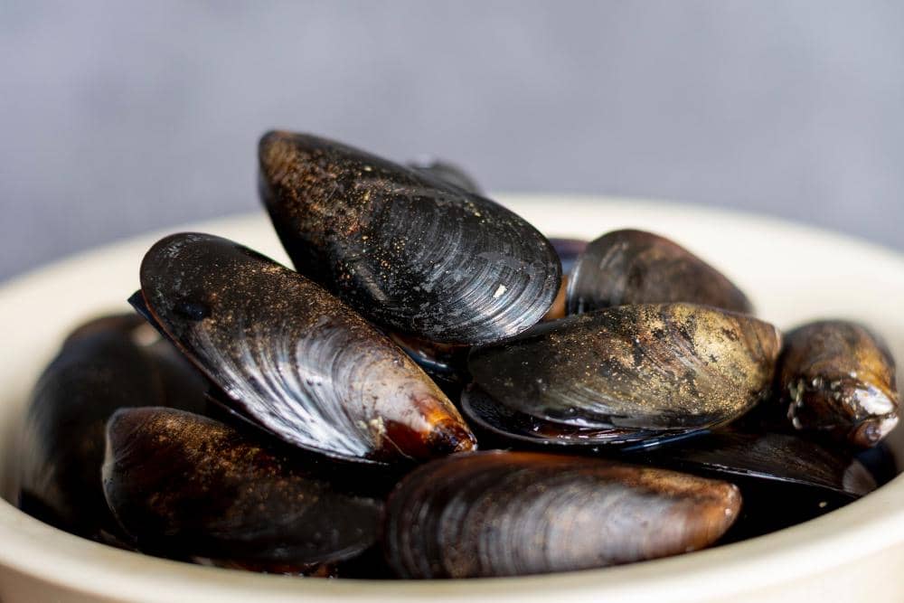 Cara Menyimpan Kerang