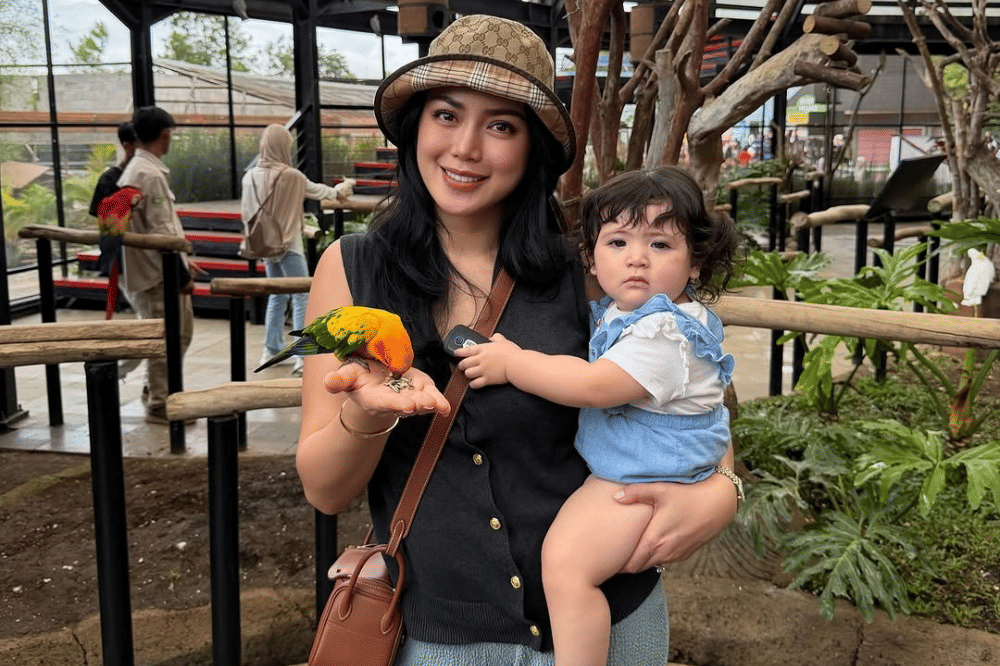 Instagram.com/inijedar