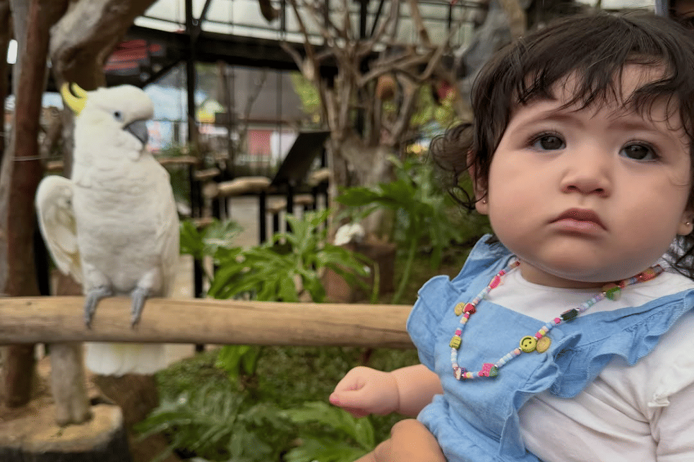 Instagram.com/inijedar