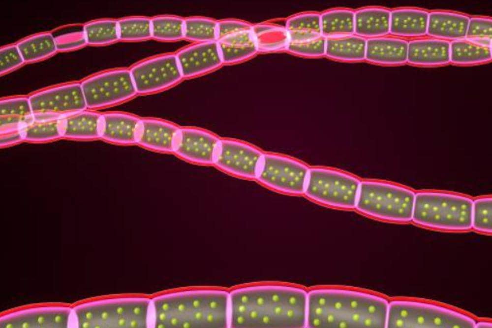 Bagaimana Cara Kerja Kemoterapi Kanker Payudara? Ini Penjelasannya!