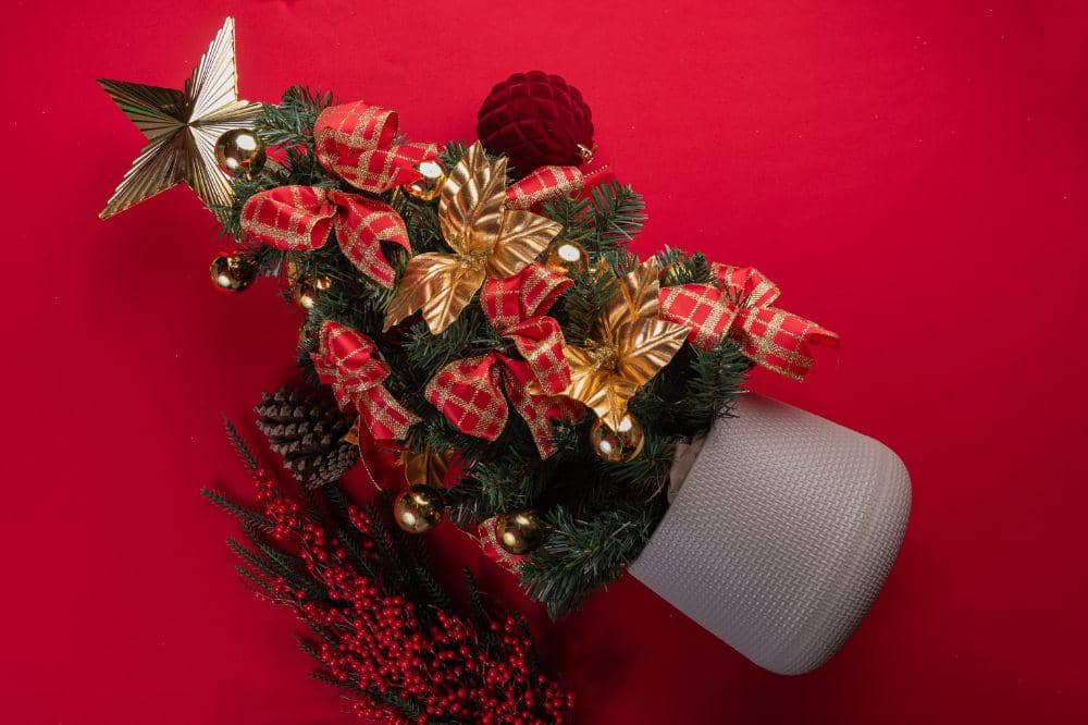 7 Tanaman Hias yang Bisa Jadi Dekorasi Natal COVER