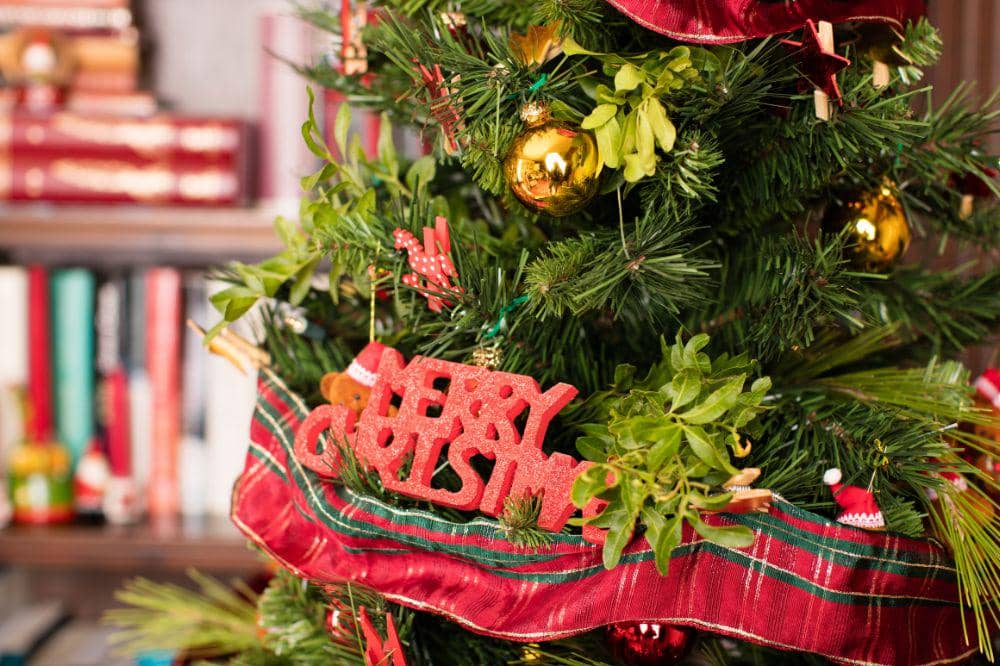 7 Merawat Pohon Natal Asli Tetap Segar COVER