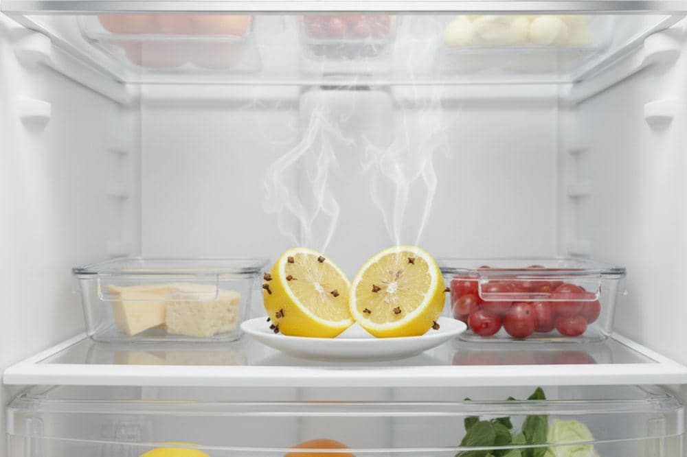 7 Bahan Alami Ini Ampuh Menghilangkan Bau Busuk di Kulkas 6