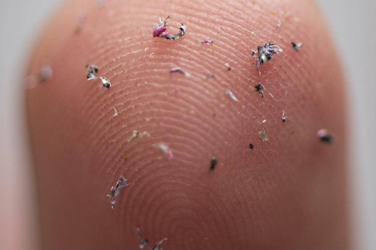 commons.wikimedia.org/European Commission/Lukasz Kobus