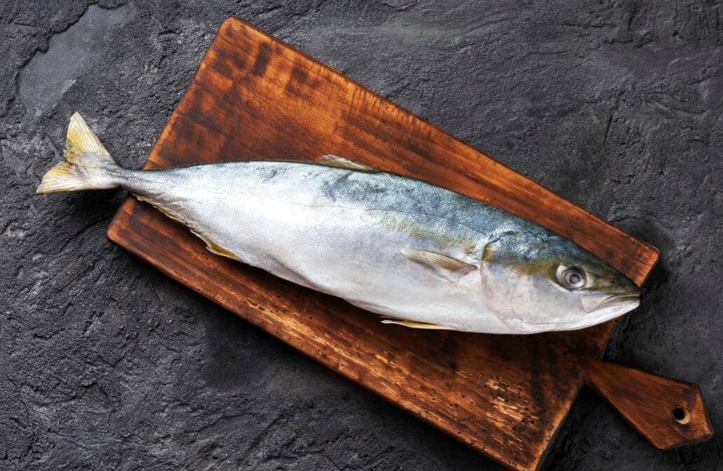 Kandungan Ikan untuk Kesehatan Ibu Hamil