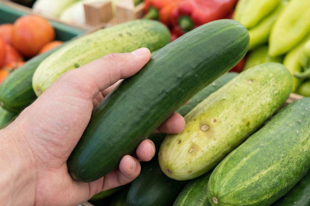 Cara Menyimpan Timun